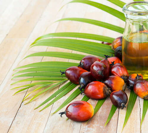 Власти задумались о дополнительном повышении налога на ввоз пальмового масла